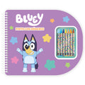 Bluey paint with numbers notebook